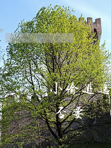 小偷逃逸時(shí)跳水溺亡，追趕群眾是否要擔(dān)責(zé)？